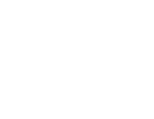 south-carolina